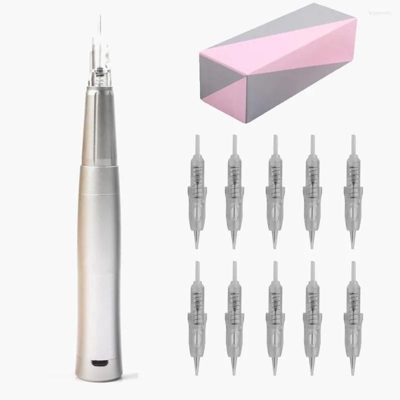 Machine à tatouer Nano Brow Sliver Microshading de maquillage permanent sans fil avec cartouche d'aiguille 10pcs