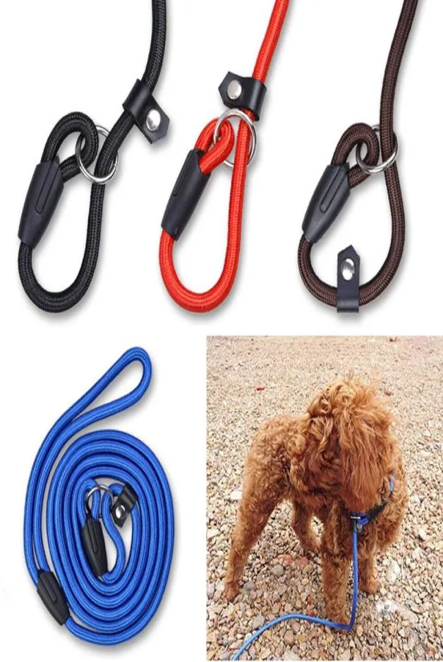 Pet Dog Nylon Justerbar krage Träningsslinga Slip Leash Rope Lead Small Size Red Blue Black Color8138038