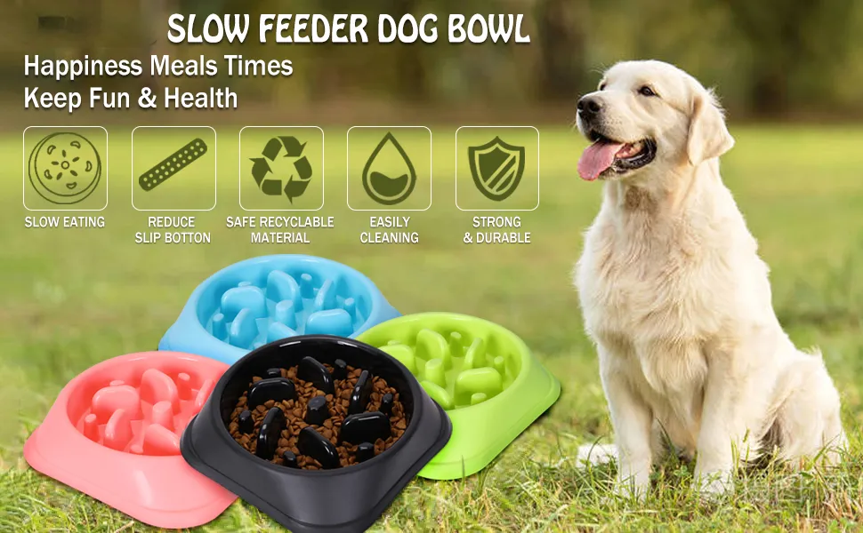 slow eat dog bowl