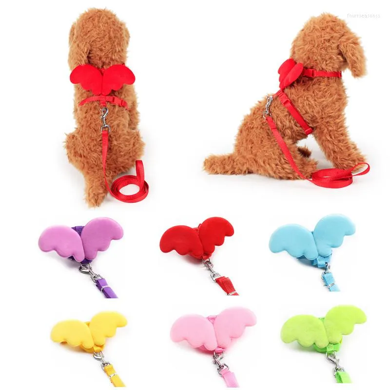 Colliers pour chiens mignon petit animal de compagnie chat harnais collier laisse ensemble aile d'ange chiot Costume réglable en plein air marche corde de plomb