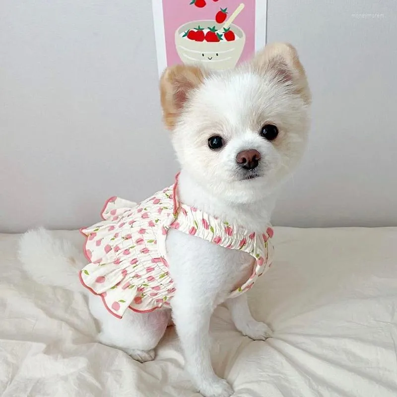 Cat Costumes Lovely Candy Color Puppy Summer Clothes Elastic Vest Bride Dresses For Chihuahua York Clothing Pet Sphynx