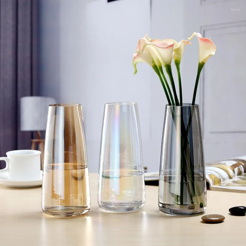 Vaserformade glasvas Hydroponics Plant Creative Crafts Decor for Home Living Room Flower Pots