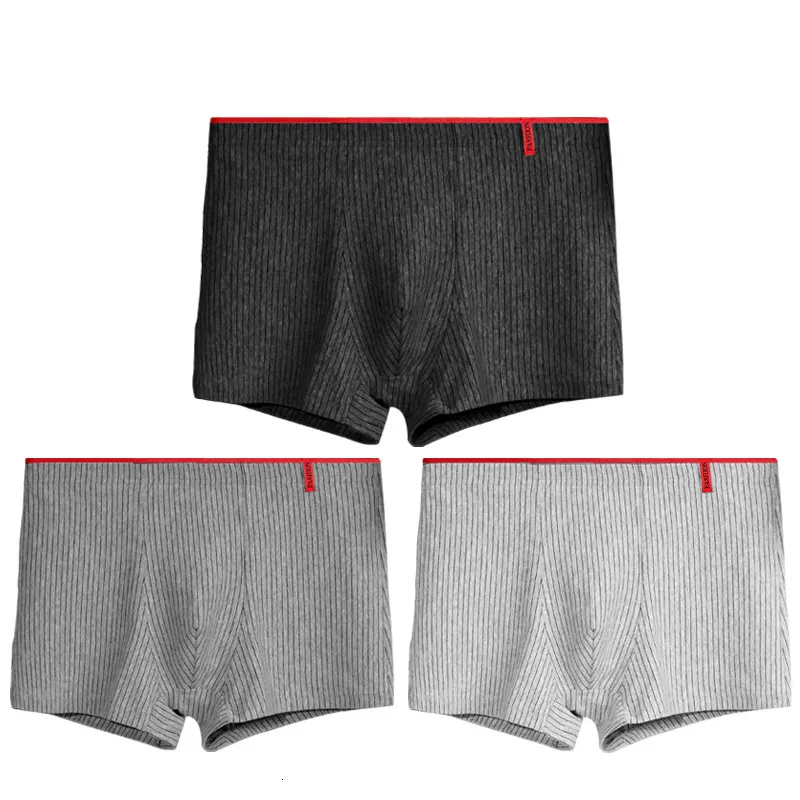 UNDUPTS 3 PCS Boxer Shorts Erkek Panties Homme Underpants Boxersers için İnsan Pamuk Erkek Çift Seksi Set Calecon Lot Yumuşak Kutu 230420