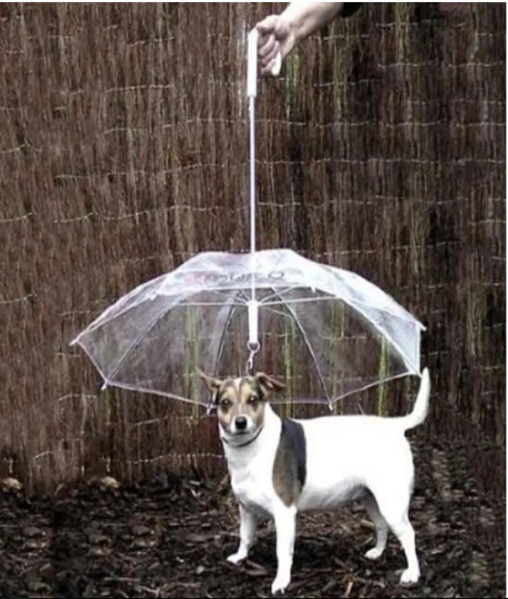 Cool Pet Supplies Useful Transparent PE Pet Umbrella Small Dog