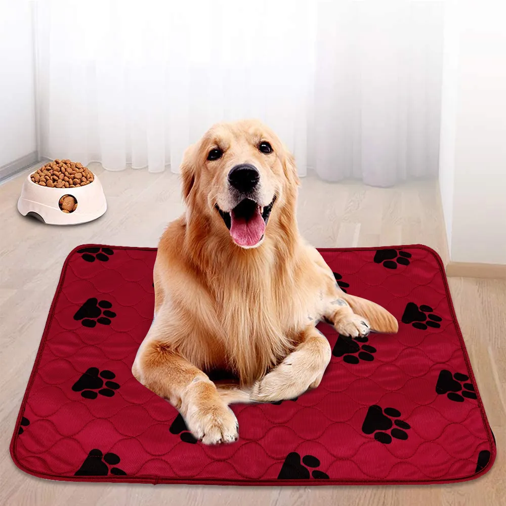 Autres Fournitures Pour Chiens Tapis De Couche Imperméable Pour Chien  Lavable Coussin Durine Pour Animaux De Compagnie Réutilisable Chiens Chat  Couches Pads Paw Print Dogs Couverture De Siège De Voiture Canapé Lit