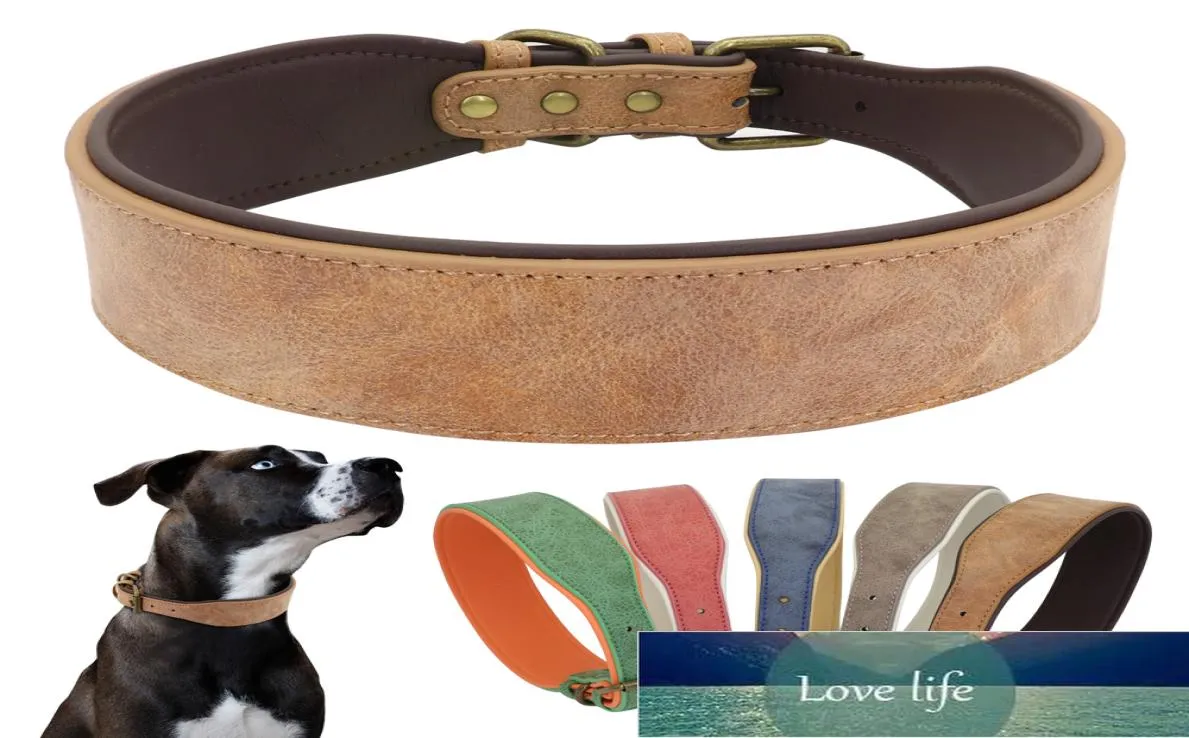 Wide Leather Dog Collar Large Soft Padded Pet Collars Perro For Medium Pitbull German Shepherd Bulldog XL 2XL6109596