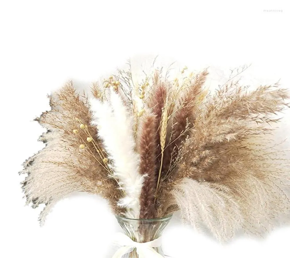 Decorative Flowers A63I Boho Decor Pampas Grass Fluffy Floral 80 Stems Dried Arrangements Pampas Wheat Limonium1532969