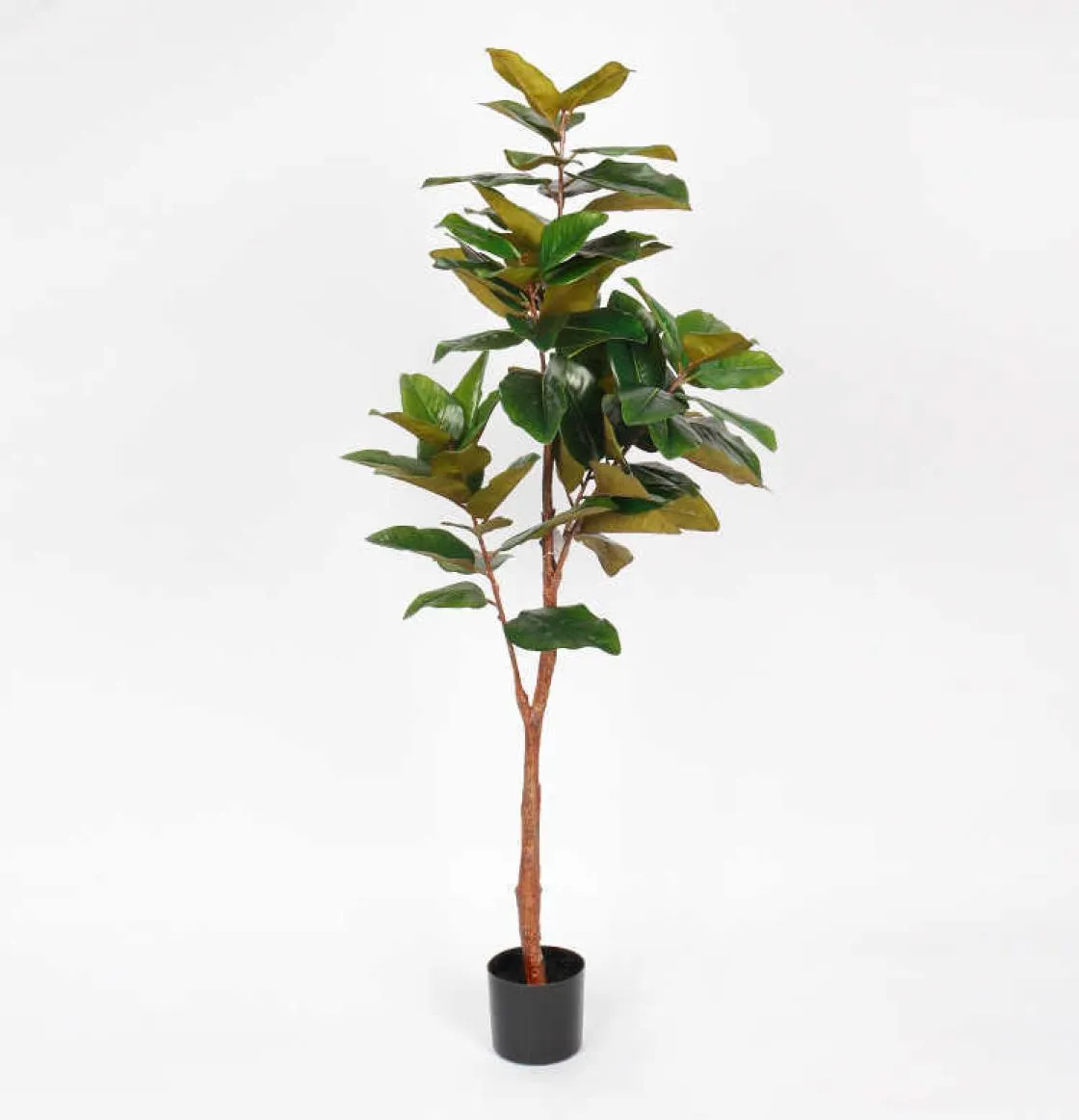 160 cm Decorazione domestica Foglia di magnolia Vaso bonsai albero bonsai artificiale9874043