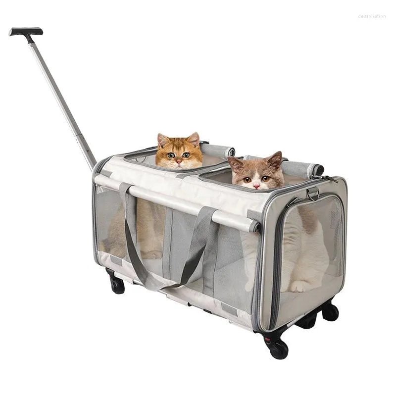 American Airlines Cat Carrier Foldable Large Space Bag For 2 Cats Trolley  Double Layer Removable Collapsible Pet Small Dogs Carrier Transports From  Deafoliation, $152.45