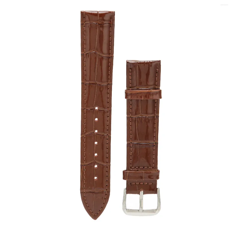 Boîtes de montre en cuir PU, boîte à boucle ardillon, bracelet de remplacement antirouille, taille universelle, robuste pour magasin et maison