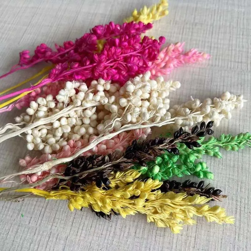 Flores decorativas 12 peças/5-10cm reais naturais secos pequenos ramos de sorgo com diferentes comprimentos para guirlanda de casamento decoração de natal