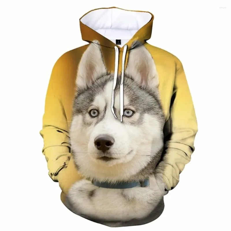 Hoodies masculinos bonito husky siberiano impressão 3d homem/mulher laxity hoodie casual pulôver de grandes dimensões moda moletom roupas masculinas