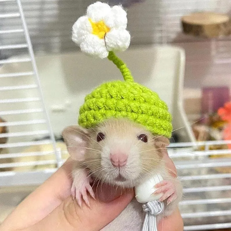 Hondenkleding Mini Hamster Hat Kleine dieren Mooie handgebreide hoeden voor hagedis cavia reptiel kerstfeest kleding kostuum huisdierenkappen