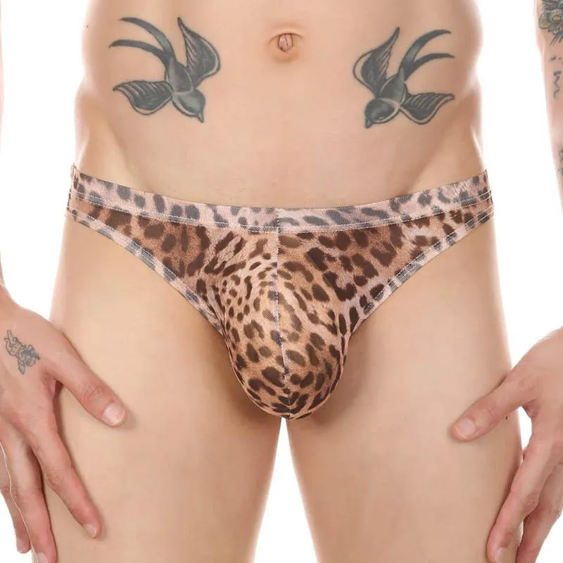 MUITAS PONTAS LEOPARD BURO MENINO MENINA MENINA SEXY MASH VEJA TROUGO EROCO