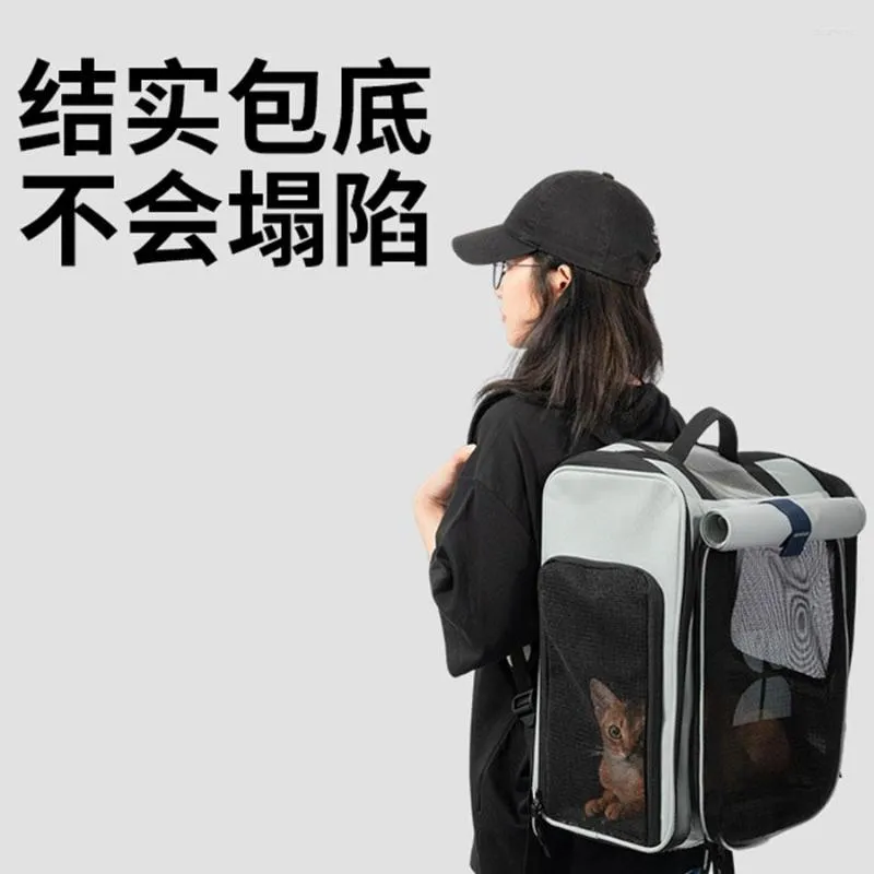 Cat Carriers Travel Bag Backpack Zipper Woman Portable Breathable Soft Outdoor Large Canvas Men Double Carrier Mochila Gatopet