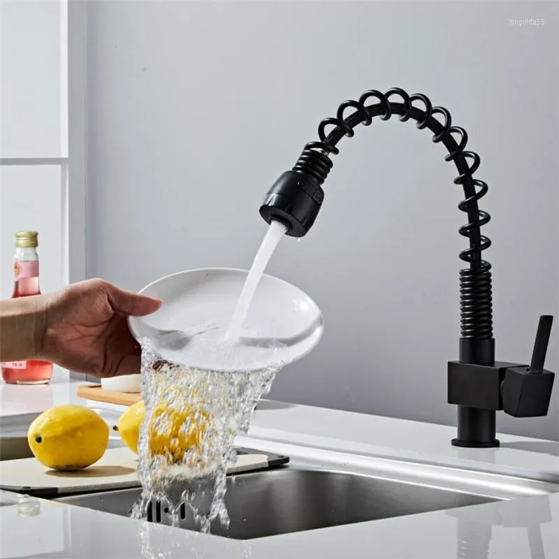 Robinets de cuisine Robinet noir Deux fonctions Mitigeur extractible et robinets d'eau froide Robinet de tête de pulvérisateur de flux