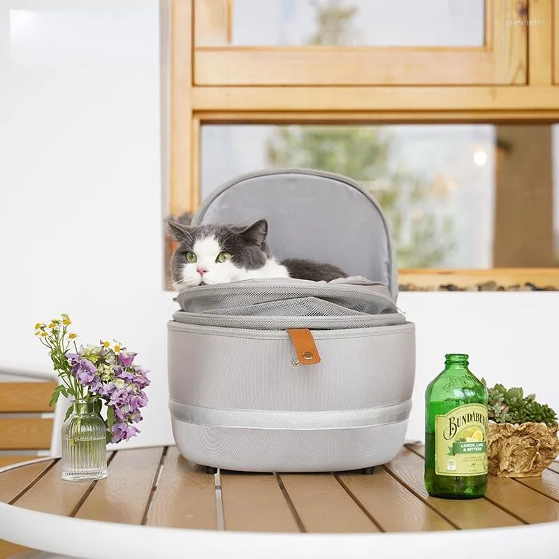 Cat Carriers Mamy Pets voor draagbare ademende rugzak buitenzak kleine hond reisvervoer accessoires huisdier