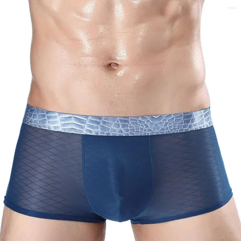 Underbyxor Ice Silk Underkläder Mens Sömlösa Boxer Briefs Se genom trosor Manlig andningsbar Sheer Knicker Trunks Mans Pantie