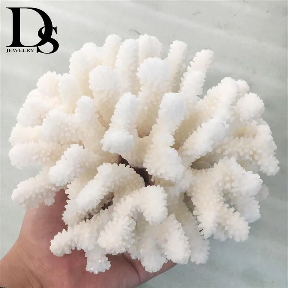 14-16cm 100% 천연 산호 바다 흰색 산호 나무 흰색 산호 수족관 조경 가정용 가구 장신구 가정 장식 254Q