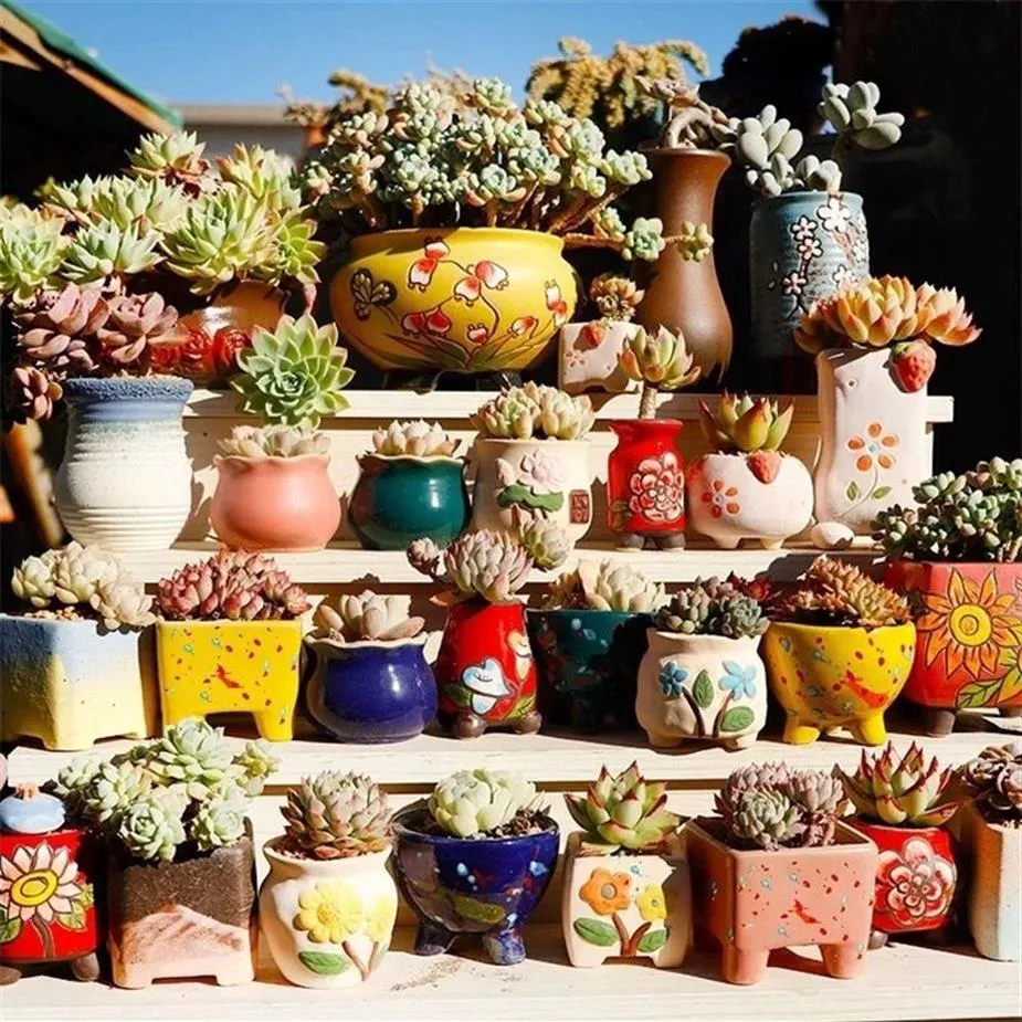 Ceramic Flower Pot Succulent S Cactus S Planter Garden S Outdoor Home Decoration Windows Bill Y200723278H