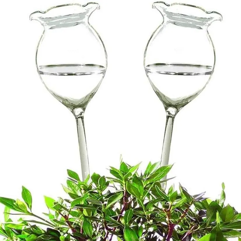 Globes d'arrosage automatique pour plantes, ampoules d'eau en verre transparent soufflé à la main pour intérieur et extérieur, 2 formes de fleurs 291t