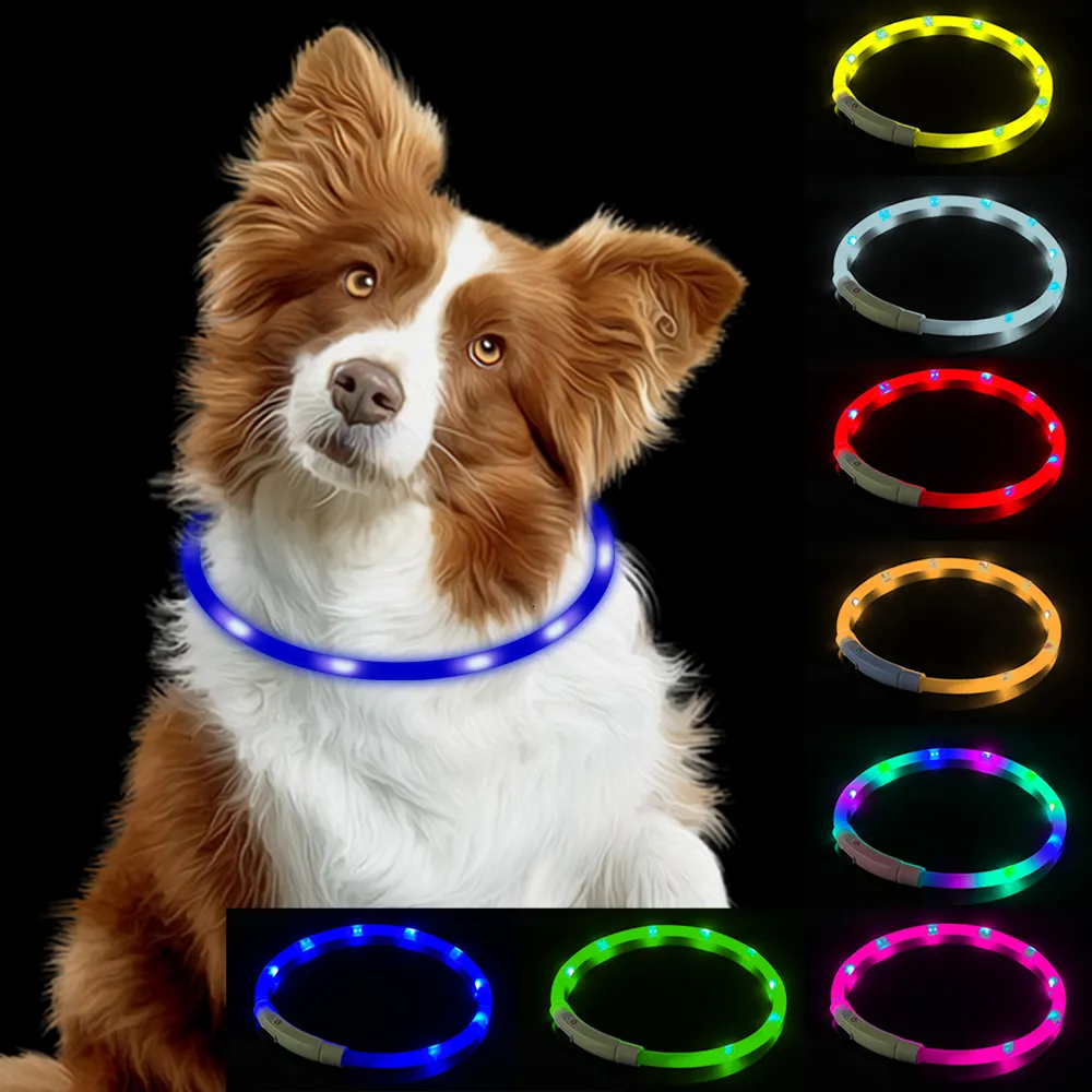 Dog Collars LEASHESSED USB Dog Collar Dog Accessories Pet Accessories Night Luminous Charge Collar Night Safety Flashing Glow Collar 230422