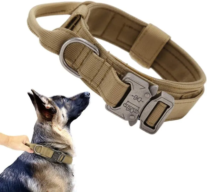 Colliers de chat conduit collier de chien tactique militaire avec poignée en nylon réglable boucle en métal robuste pour animaux de compagnie et ensemble de laisse pour petits grands chiens