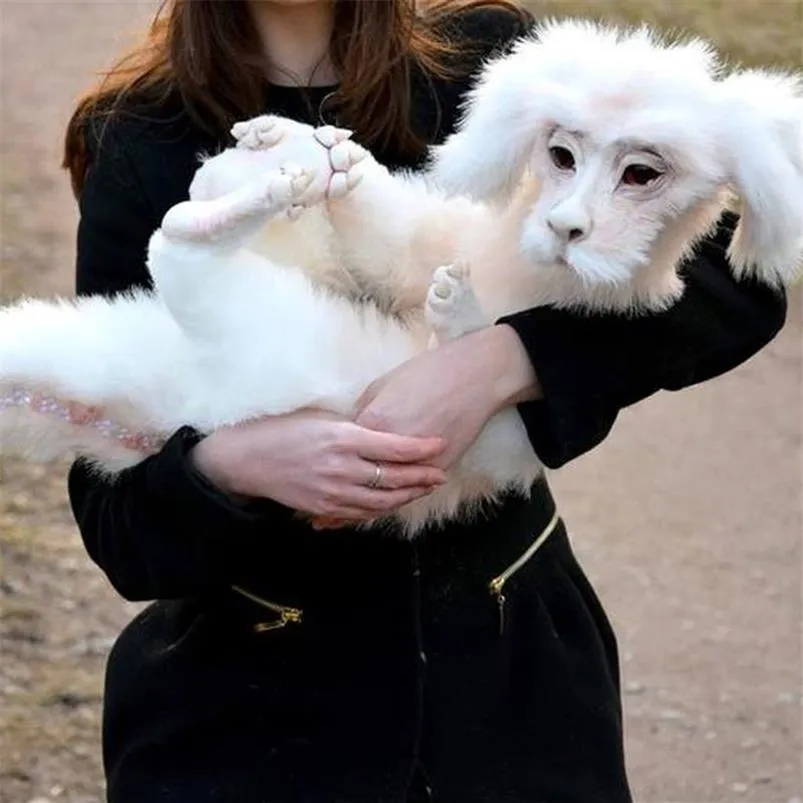 Dekoracje ogrodowe zabawny prezent Pluszowy robak z labiryntu Falkor The Neverending Story Fuchur ręcznie robione dziecko Ludo labirynts 206a