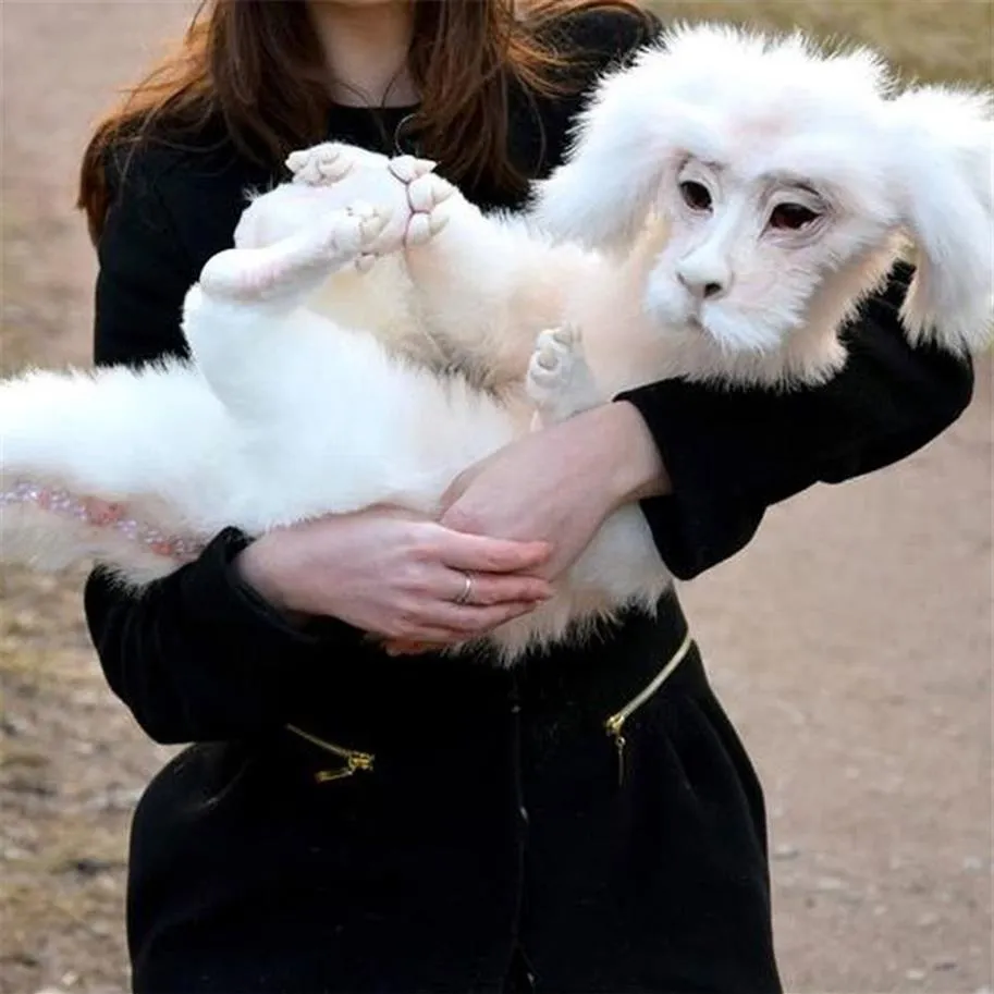 Gartendekorationen Lustiges Geschenk Plüschpuppe Wurm aus Labyrinth Falkor Die unendliche Geschichte Fuchur Handgemacht Baby Ludo Labyrinthe 2143