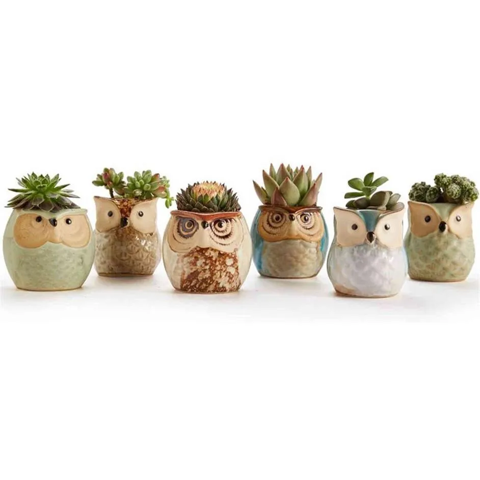 1 stks mooie keramische mini pot bureau planter voor vetplant bonsai bloem cactus uil pot cadeaus voor vrouwen meisjes jongens kinderen Y0314247g