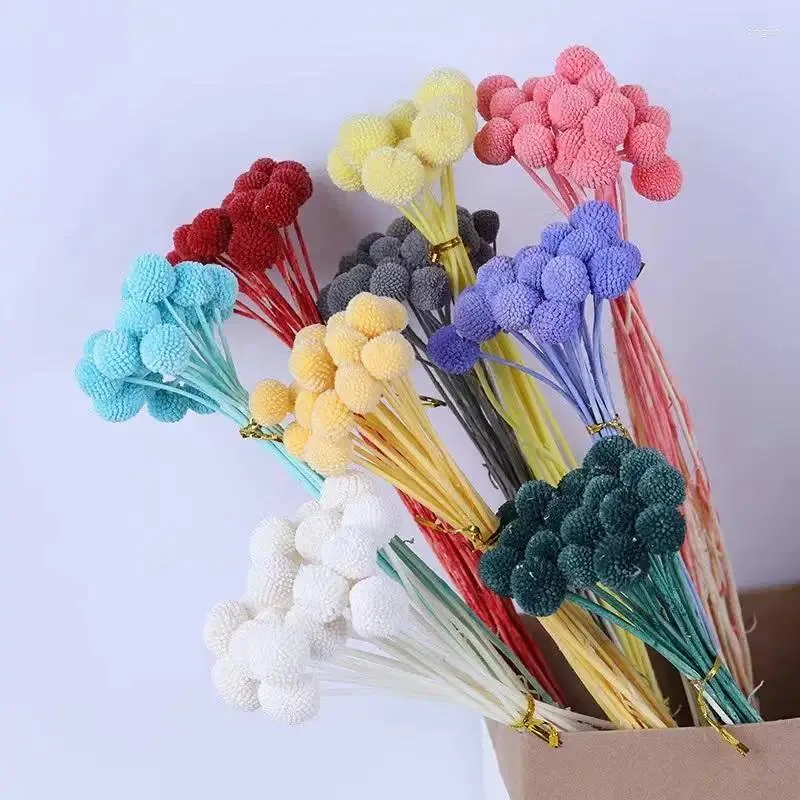 Fleurs décoratives préservées boules de boutons Billy Craspedia séchées artificielles pour la maison bureau fête bricolage décor de mariage naturel