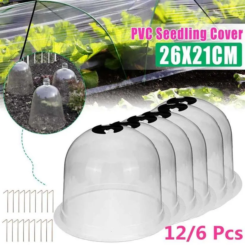 12 6pcs 10 재사용 가능한 플라스틱 온실 정원 Cloche Dome Plant Covers Frost Guard Ze Protection 210615199J
