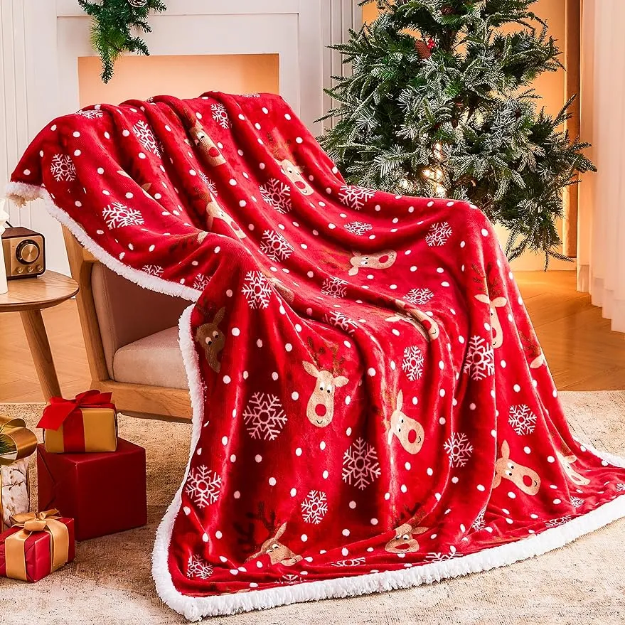Pottery barn christmas blanket new arrivals