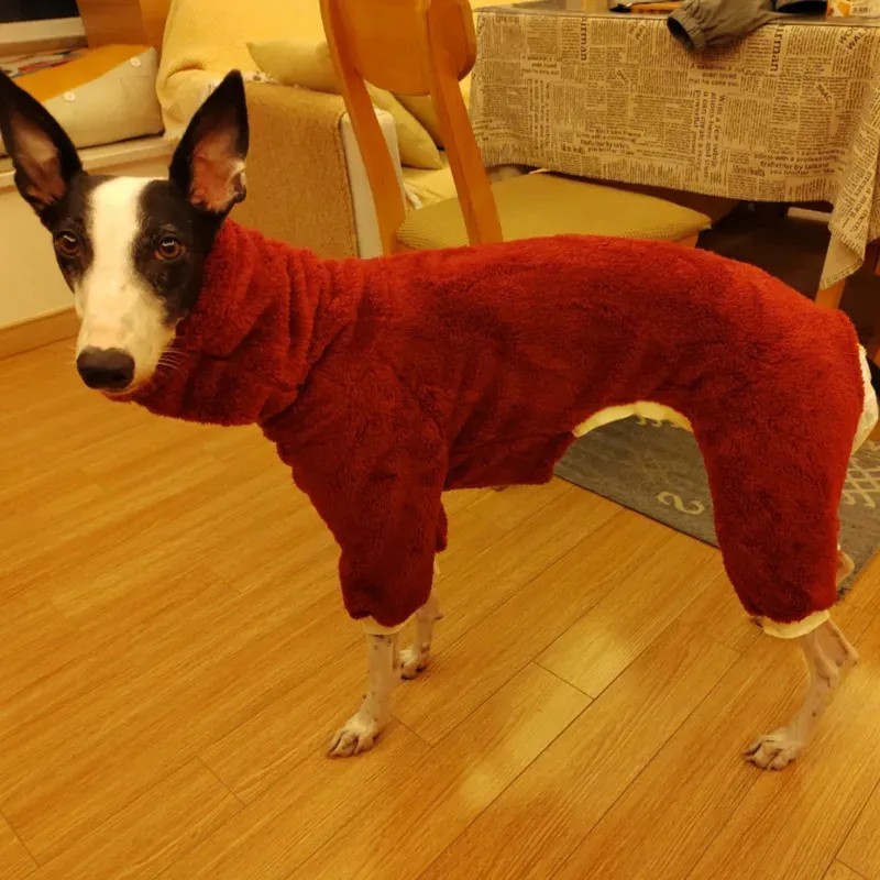 Odzież dla psów zimowe dla psów duże miękkie ubrania szczeniaka Wysoka szyja ciepłe włoskie greyhound luźne cztery nogi grube garnitury 231122