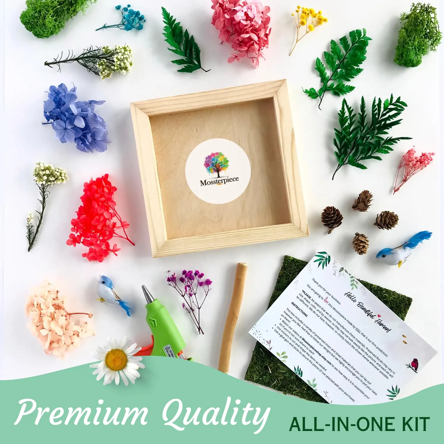 Natural, Eco-Friendly Arts and Crafts for Adults, Hobbies for Women, Crafts for Teens, Craft Kits for Girls Ages 10+, DIY Kits for Adults, Art Kits