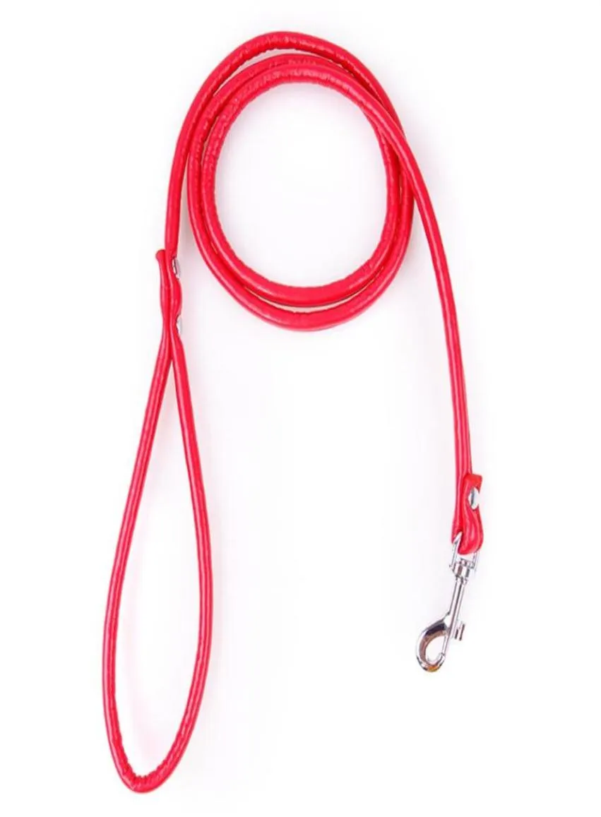 2020 nouvelles laisses de chien en cuir PU solide et souple de petite taille pour chien Chihuahua collier de marche conduit couleur bonbon animaux de compagnie fournisseur de produits2213202381