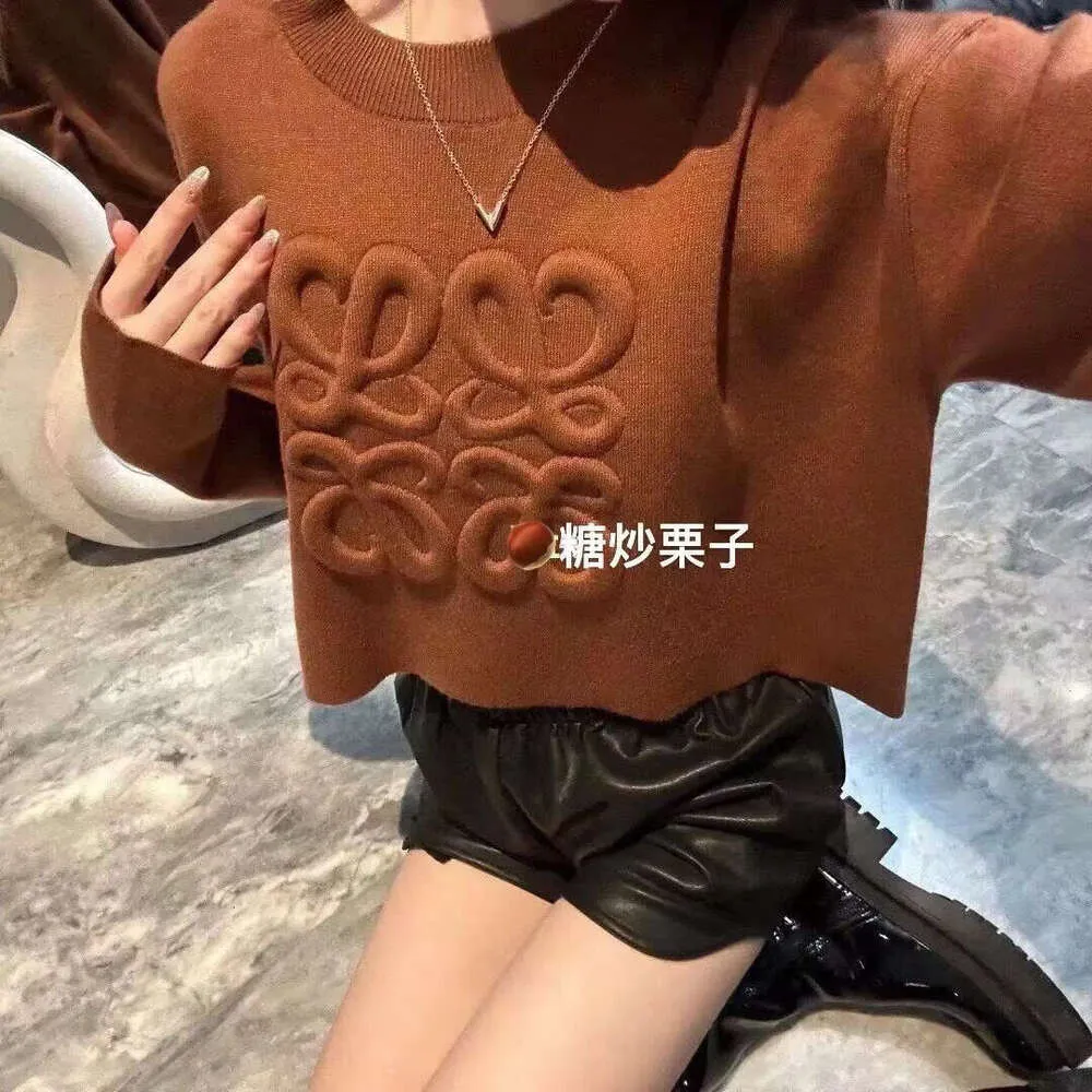 Designer Cardigan Women Sweater Polo Sweaters Button Up Shirt Classic Letter Print Fashion Regular Casual Long Sleeve Knit Jacket Sweater Womens Clothe Loewees 009