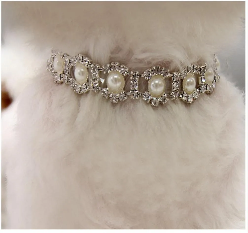 Bling strass pérola colar coleira de cachorro liga diamante filhote de cachorro pet coleiras trelas para cães pequenos mascotas acessórios para cães 3493579