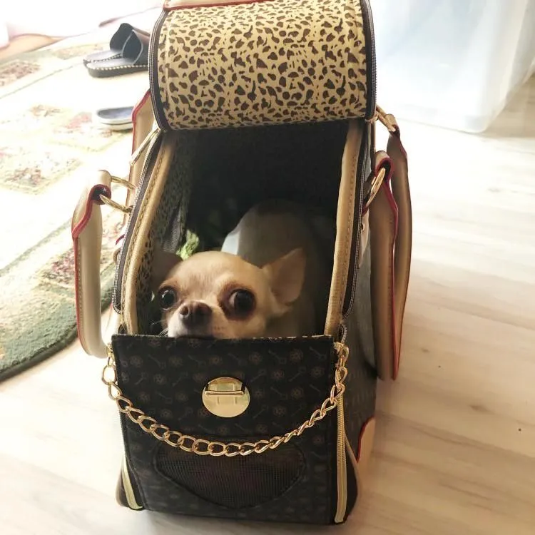Small Puppies Pet Carrier Fashion Dog Carrier Purse Leather Tote Handbag  Bag | eBay