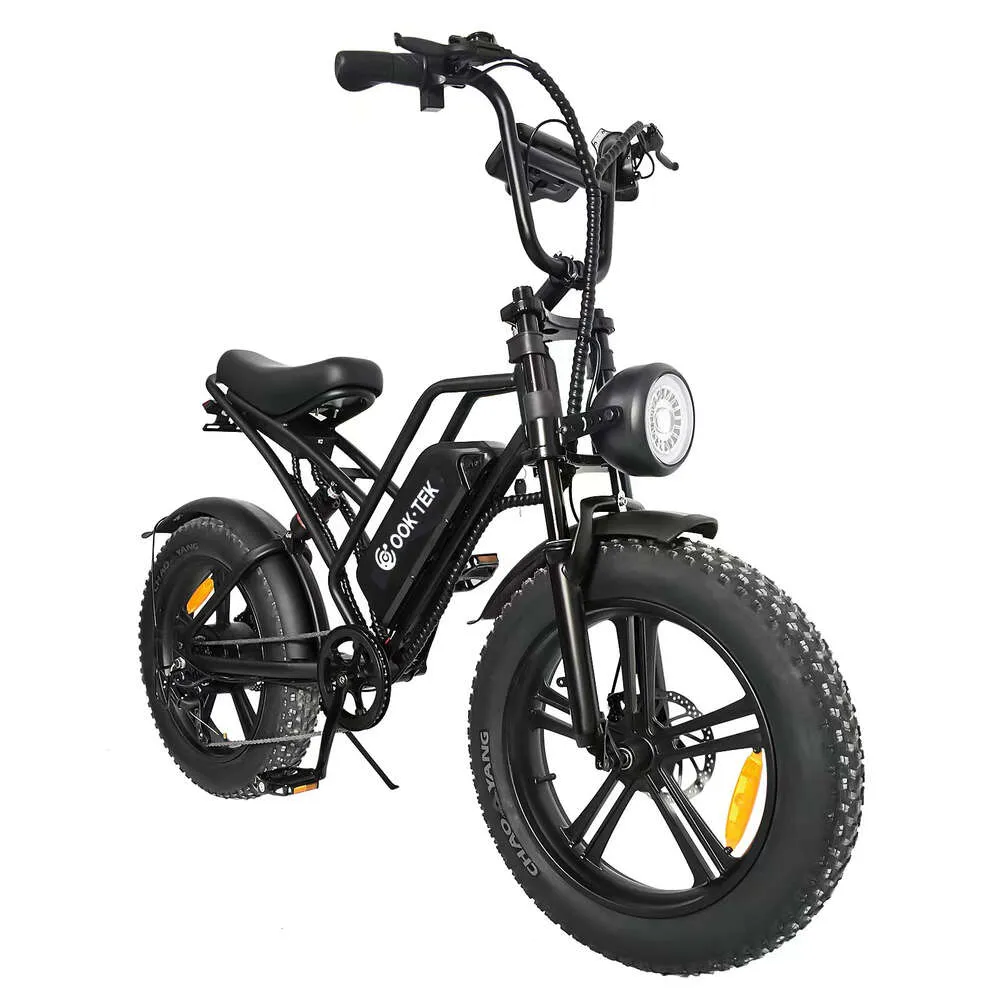 EU Warehouse Electric Bike 20 Fat Tire Ebike 45km h 48V 15Ah Battery Giant Display Throttle Pedal Assist