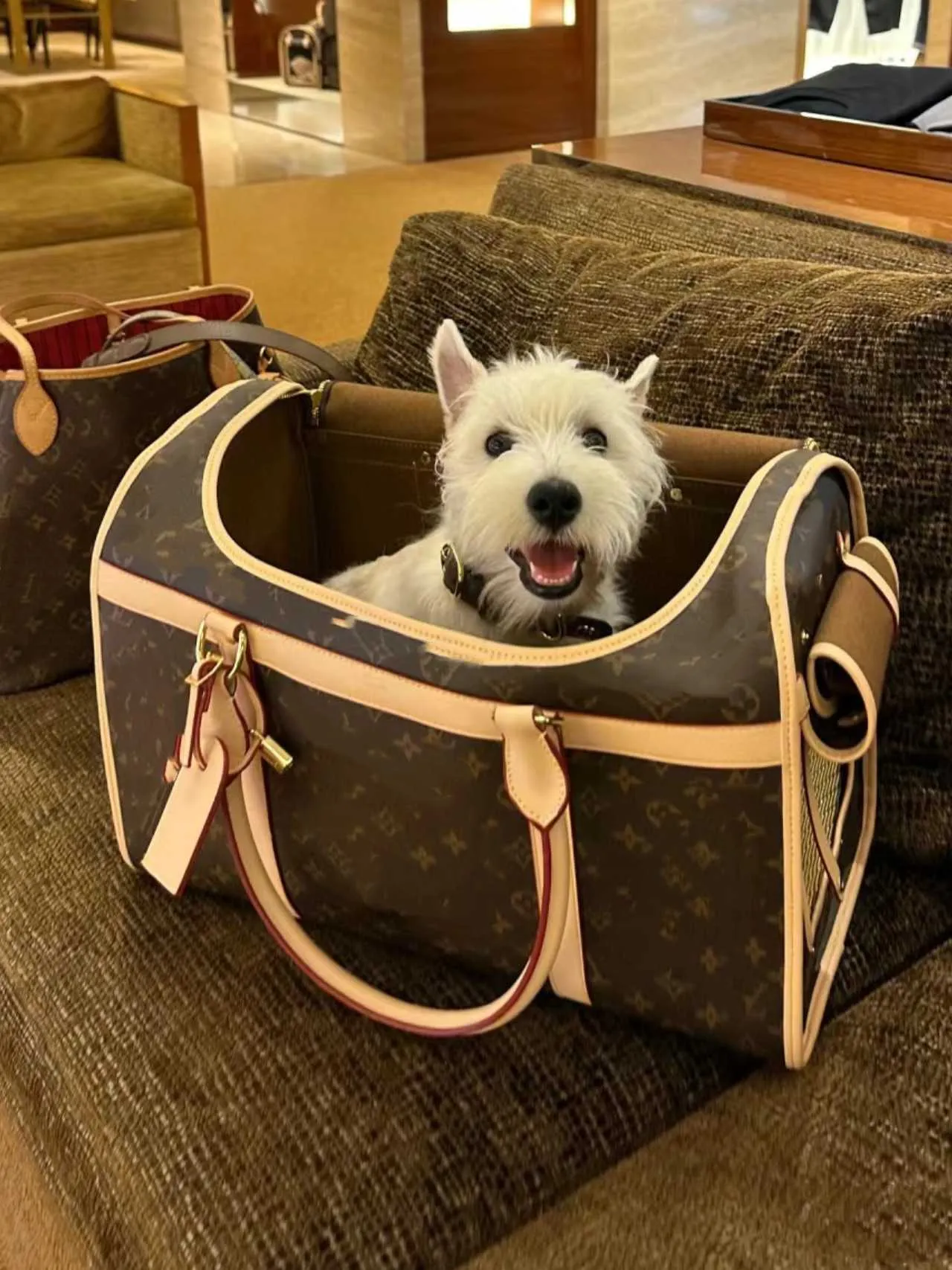 Designer Pet Bag Luxury Portable Pet Bags Outdoor Cat and Dog Bag Men and Women Handbags Shopping Bag Large Capacity Tote