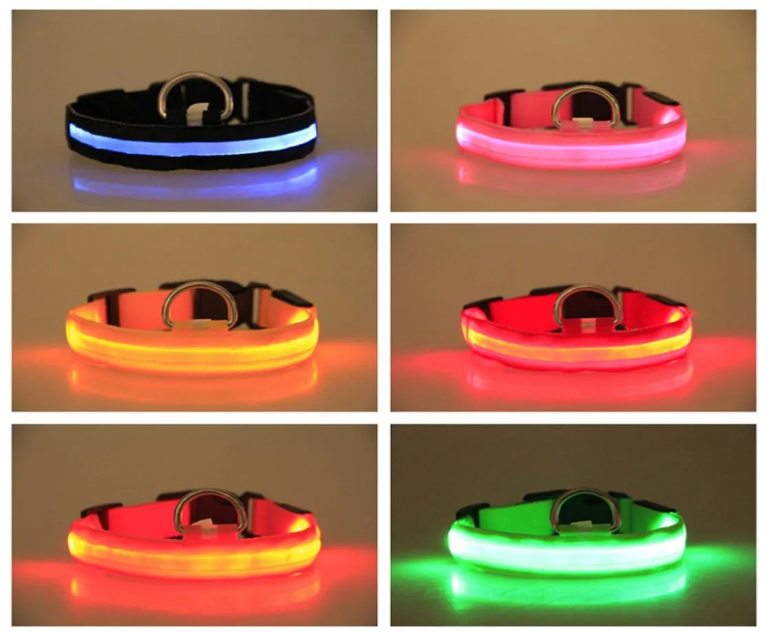 Collier de chien en nylon LED sécurité nocturne lumière LED clignotante lueur dans le noir petit chien animal de compagnie clignotant collier de sécurité pour chien laisses SXL DB9627937