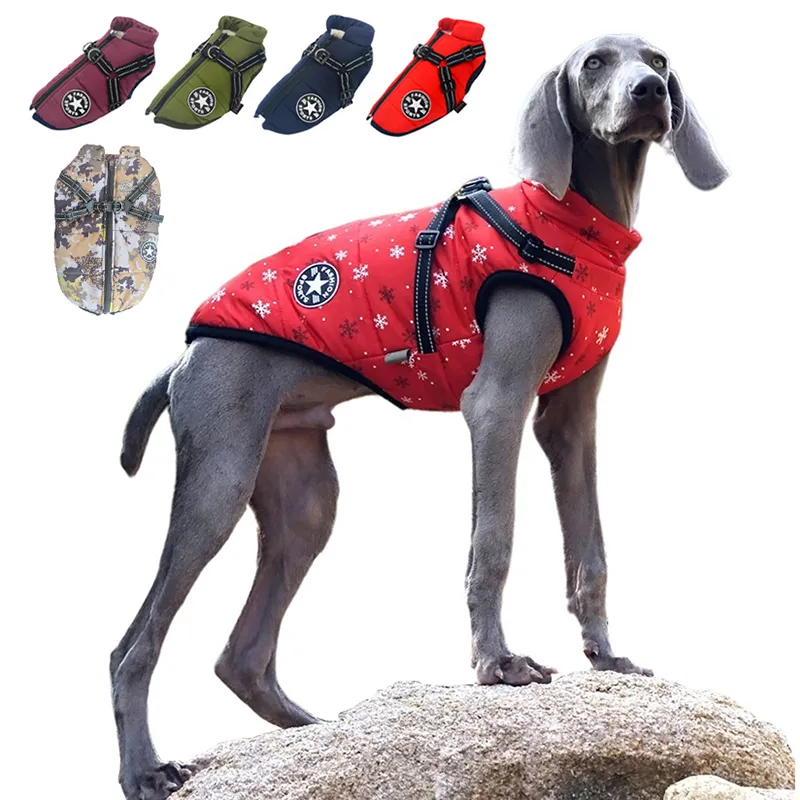 Hondenkleding Drop Kleding voor kleine honden Winterhonden jas met harnas 230422