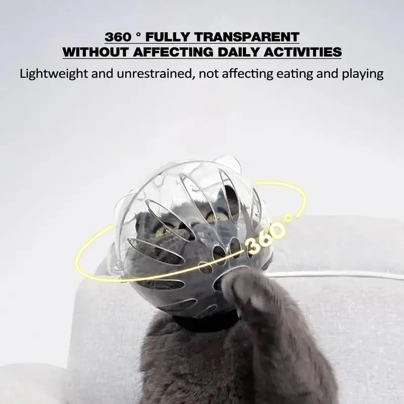 Other Cat Supplies: Pet Recovery Space Helmet - Anti-Lick, Anti-Bite ...