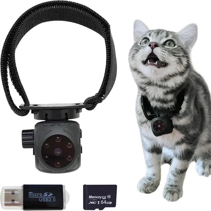 Otros Suministros Para Gatos Cámara Para Collar De Mascotas No Se Requiere  Wifi Mini Cámara Oculta Para Niñera Con Tarjeta SD De Audio / Video Cámara  De Collar Para Gatos Con Visión