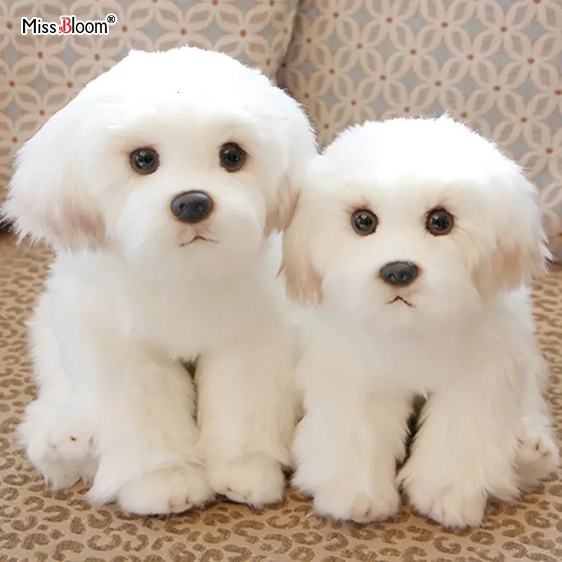 Dolls Maltese Stuffed Dog Plush Toy Cute Simulation Pets Fluffy Baby Birthday Gifts Christmas Children Malzis Puppy Drop 231122