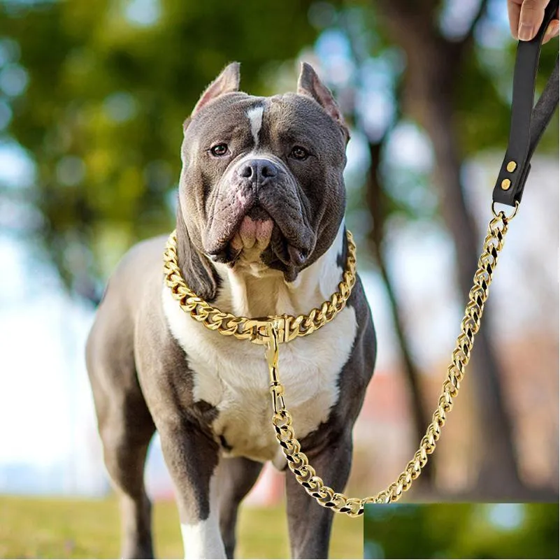 Dog Collars Leashes 304 Stainless Steel Chain Collar And Leash Super Strong Metal Choke Sier Gold Pet Lead Rope For Party Show Drop De Dhx4E