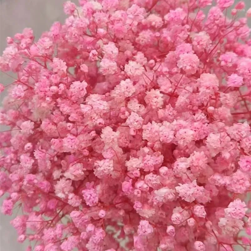 Декоративные цветы 100ggypsophila детское дыхание миллион звезд натуральное растение консервированное сушено