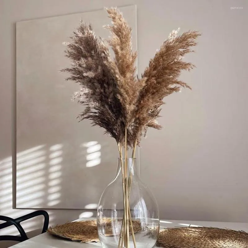 Decorative Flowers Brown Color Pampas Grass Fluffy Small Reeds Bouquet Natural Dried For Flower Arrangements Boho Home Decor