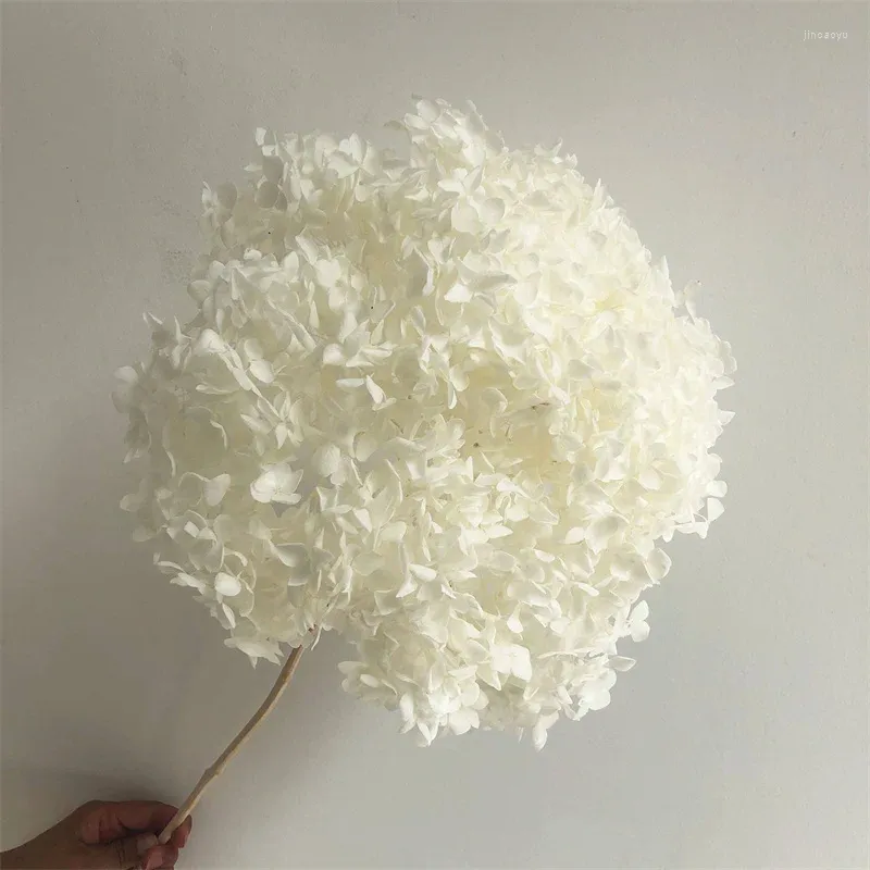 Dekorativa blommor bevarade hortensia Nature Dry Decor Bride Bouquet Wedding Home Decoration For Vase Plants Arrangement